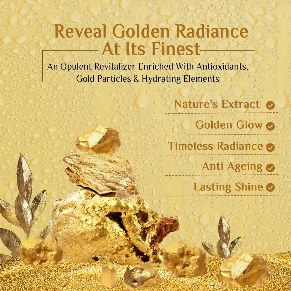 Richfeel Gold Facial Kit 5x6 G Pack of 1