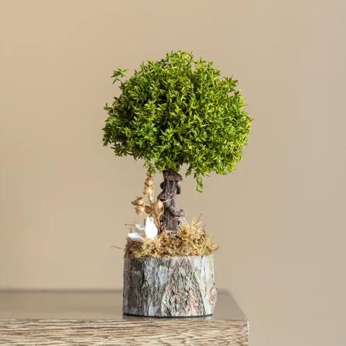 Small Eco-Friendly Floral Bonsai Tree